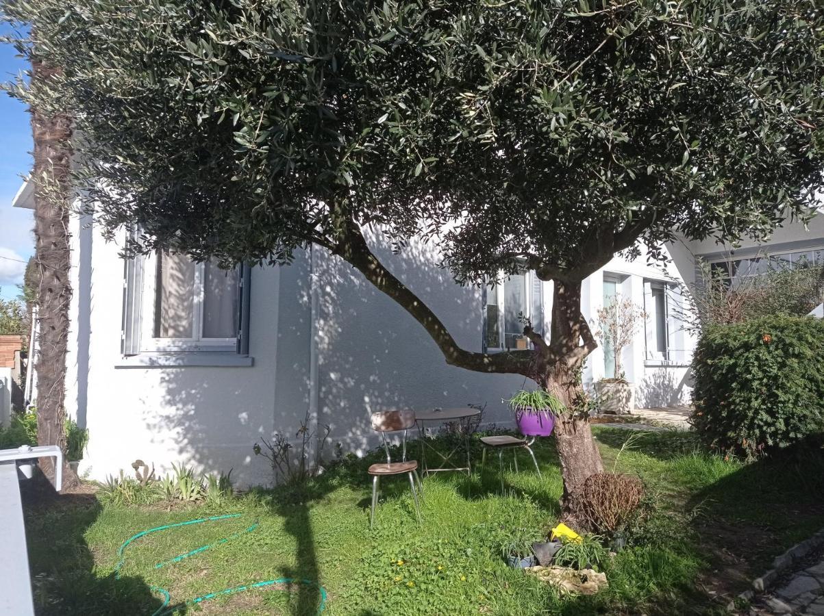 Chambre Meublee Independante, Avec Piscine Et Jardin, 1 Lit Pour 2 Personnes Direct Gare Aeroport Toulouse Exterior photo